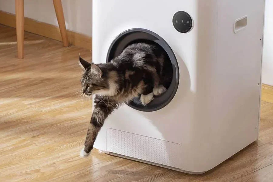 best self cleaning litter box for cats