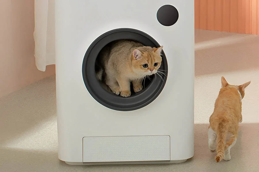 kitty litter self cleaning box